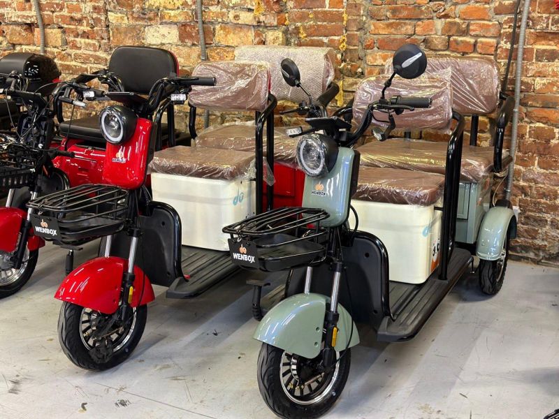 Электротрицикл ElectroTrike Бумеранг Pro Зеленый Электротрицикл ElectroTrike Бумеранг Pro Зеленый